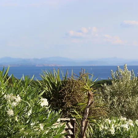 Mini Palombaggia - Piscine Chauffee * 维琪奥港