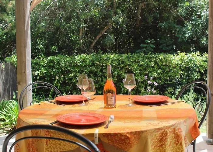 Mini Palombaggia - Piscine Chauffee * 维琪奥港