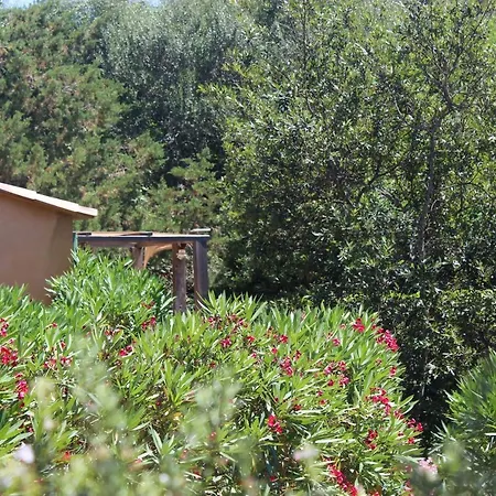 Holiday home Mini Palombaggia - Piscine Chauffee *