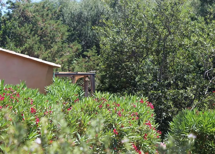 Tatil Evi Mini Palombaggia - Piscine Chauffee *