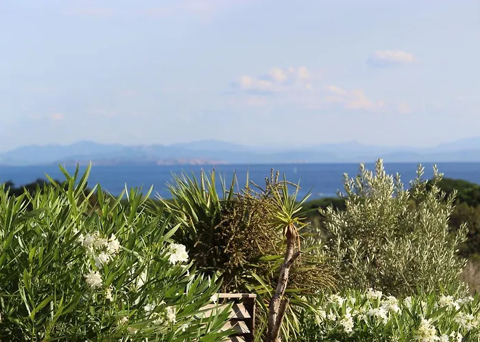Mini Palombaggia - Piscine Chauffee * Porto-Vecchio (Corsica)